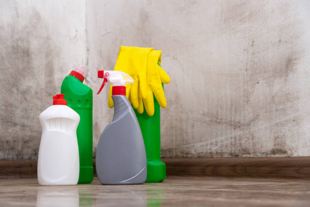 Best Biohazard Mold Removal  in Kensington, CA